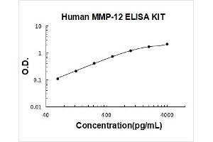Matrix Metallopeptidase 12 (Macrophage Elastase) (MMP12) ELISA Kit