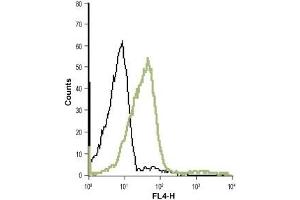 Cell surface detection of LTB4R in live intact human T cell leukemia (Jurkat) cell line: (black line) Control cells + goat-anti-rabbit-Cy5. (Leukotriene B4 Receptor/BLT antibody  (2nd Extracellular Loop))