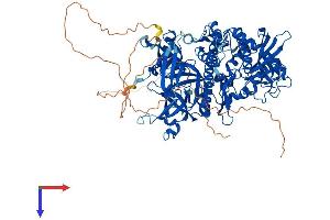 DIS3L2 Protein (AA 1-885) (His tag)