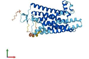 AlphaFold protein structure predicition of Human Recombinant TAAR5 Protein, UniprotID O14804