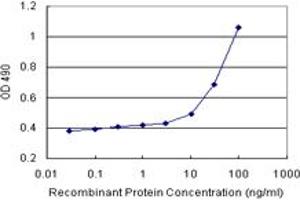 Sandwich ELISA detection sensitivity ranging from 10 ng/mL to 100 ng/mL. (AK1 (Human) Matched Antibody Pair)