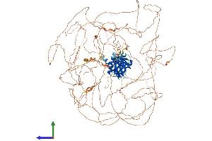 AlphaFold protein structure predicition of Mouse Recombinant Irs2 Protein, UniprotID P81122