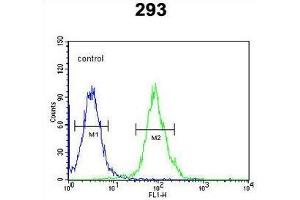 TPH2 Antibody (Center) flow cytometric analysis of 293 cells (right histogram) compared to a negative control cell (left histogram).