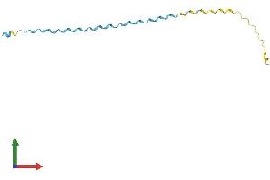 AlphaFold protein structure predicition of Mouse Recombinant Sprr2b Protein, UniprotID O70554