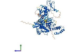 AlphaFold protein structure predicition of Mouse Recombinant G2e3 Protein, UniprotID Q5RJY2