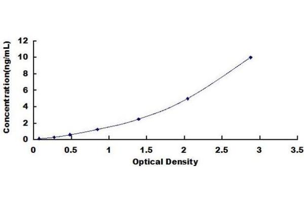 LRG1 ELISA Kit