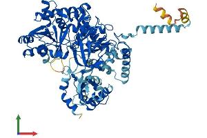Protein Structure (PS) image for Acyl-CoA Synthetase Long-Chain Family Member 6 (ACSL6) (AA 1-697) protein (His tag) (ABIN7551974)