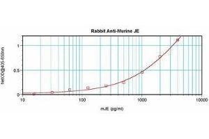 Image no. 3 for anti-Chemokine (C-C Motif) Ligand 2 (CCL2) antibody (ABIN465001)