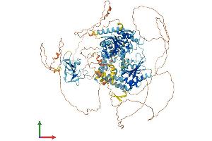 AlphaFold protein structure predicition of Human Recombinant TTF2 Protein, UniprotID Q9UNY4