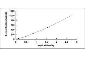 Growth Differentiation Factor 3 (GDF3) ELISA Kit