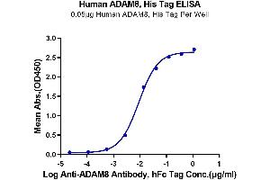 ELISA image for ADAM Metallopeptidase Domain 8 (ADAM8) (AA 17-655) protein (His tag) (ABIN7273801)