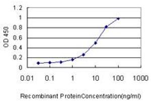 Detection limit for recombinant GST tagged MAP3K7 is approximately 1ng/ml as a capture antibody. (MAP3K7 antibody  (AA 1-579))