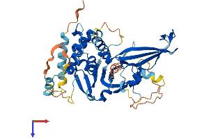 Protein Structure (PS) image for Ubiquitin Specific Peptidase 27, X-Linked (USP27X) (AA 1-438) protein (His tag) (ABIN7544966)