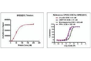 Recombinant BRD2 (71-194) activity using AlphaScreen. (BRD2 Protein (AA 71-194) (His tag,DYKDDDDK Tag))
