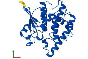 AlphaFold protein structure predicition of Mouse Recombinant Gstz1 Protein, UniprotID Q9WVL0