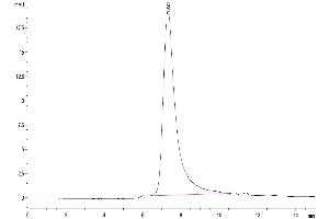 The purity of Human KIR3DL2 is greater than 95 % as determined by SEC-HPLC.