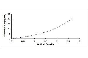 Typical standard curve (RCN2 ELISA Kit)