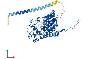 AlphaFold protein structure predicition of Human Recombinant HS2ST1 Protein, UniprotID Q7LGA3