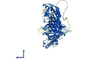 Protein Structure (PS) image for Centrosomal Protein 76kDa (Cep76) (AA 1-659) protein (His tag) (ABIN7553352)