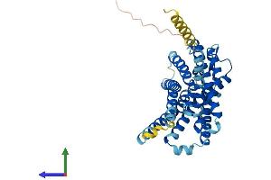 AlphaFold protein structure predicition of Mouse Recombinant Gpr183 Protein, UniprotID Q3U6B2 (GPR183 Protein (AA 1-357) (His tag))