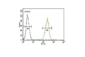 SERPINA7 Antibody (C-term) (ABIN390670 and ABIN2840965) flow cytometric analysis of MDA-M cells (right histogram) compared to a negative control cell (left histogram). (SERPINA7 antibody  (C-Term))