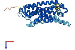 AlphaFold protein structure predicition of Human Recombinant OR1M1 Protein, UniprotID Q8NGA1 (OR1M1 Protein (AA 1-313) (His tag))