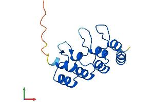 AlphaFold protein structure predicition of Human Recombinant CDKN2B Protein, UniprotID P42772 (CDKN2B Protein (AA 1-138) (His tag))