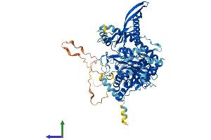 AlphaFold protein structure predicition of Human Recombinant CHPF Protein, UniprotID Q8IZ52
