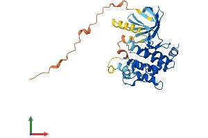 AlphaFold protein structure predicition of Mouse Recombinant Map2k6 Protein, UniprotID P70236 (MAP2K6 Protein (AA 1-334) (His tag))