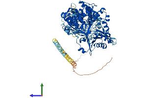 Protein Structure (PS) image for DEAH (Asp-Glu-Ala-His) Box Polypeptide 15 (DHX15) (AA 1-795) protein (His tag) (ABIN7553704)