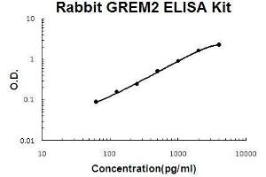 Rabbit GREM2 PicoKine ELISA Kit standard curve