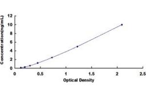 Typical standard curve (VRK1 ELISA Kit)