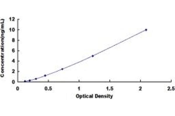 VRK1 ELISA Kit