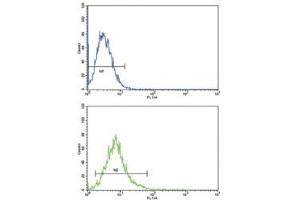 ATF6 antibody flow cytometric analysis of K562 cells (bottom histogram) compared to a negative control (top histogram). (ATF6 antibody  (AA 350-377))