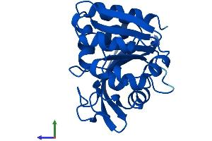 AlphaFold protein structure predicition of Mouse Recombinant Abhd14b Protein, UniprotID Q8VCR7