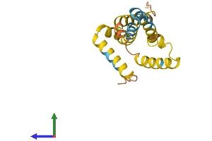 AlphaFold protein structure predicition of Human Recombinant C19orf12 Protein, UniprotID Q9NSK7 (C19ORF12 Protein (AA 1-152) (His tag))