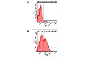 Detection of endogenous human LAG-3 by FACS analysis using anti-LAG-3 (human), mAb (17B4) (ATTO 488) . (LAG3 antibody  (N-Term) (Atto 488))