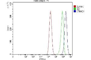Flow Cytometry analysis of Caco-2 cells using anti-Delta 1 Catenin/CAS/CTNND1 antibody (ABIN7601281). (CTNND1 antibody  (AA 31-875))