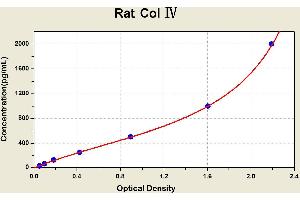 Diagramm of the ELISA kit to detect Rat Col ? (Collagen IV ELISA Kit)