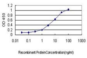 Detection limit for recombinant GST tagged DNM2 is approximately 0. (DNM2 antibody  (AA 611-710))