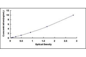 Metallothionein 3 (MT3) ELISA Kit