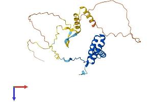 SOX21 Protein (AA 1-276) (His tag)