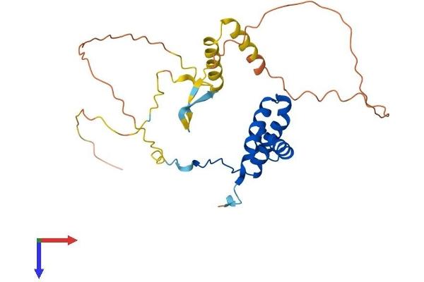 SOX21 Protein (AA 1-276) (His tag)