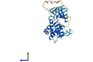 AlphaFold protein structure predicition of Human Recombinant MAP2K3 Protein, UniprotID P46734