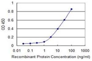 Detection limit for recombinant GST tagged ADAMTS17 is 0. (ADAMTS17 antibody  (AA 543-650))
