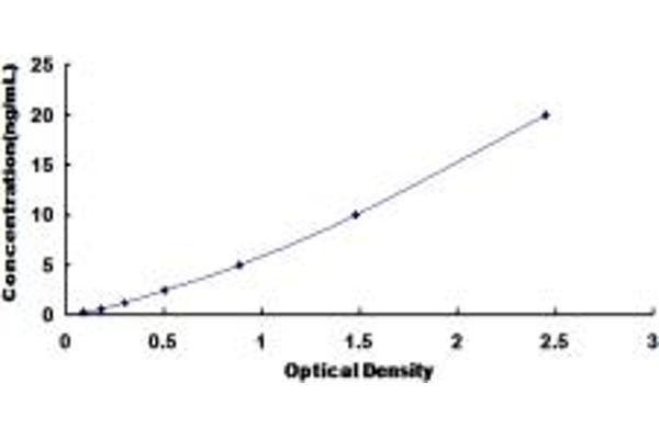 Phospholipase B ELISA Kit