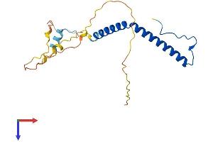 Aurora Kinase A Interacting Protein 1 (AURKAIP1) (AA 1-199) protein (His tag)