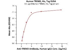 Immobilized Human TREM2, His, Tag (ABIN6973294) at 1 μg/mL (100 μL/well) can bind A Antibody, Human IgG1 with a linear range of 0.