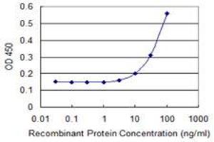 Detection limit for recombinant GST tagged CCBL1 is 3 ng/ml as a capture antibody. (CCBL1 antibody  (AA 1-374))