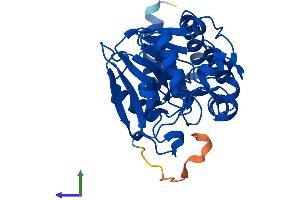 Protein Structure (PS) image for Protein Phosphatase 2, Catalytic Subunit, beta Isozyme (PPP2CB) (AA 1-309) protein (His tag) (ABIN7556613)